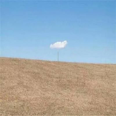 乐鱼leyu(中国)体育